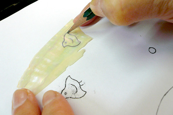 2.Make a tracing and cut out a abalone.